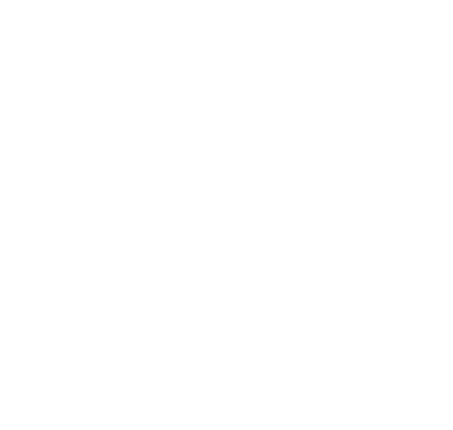 Logo BSP